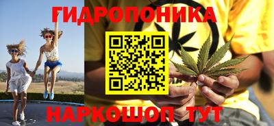 стаф Славгород