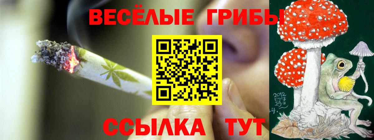 Псилоцибиновые грибы Cubensis Протвино