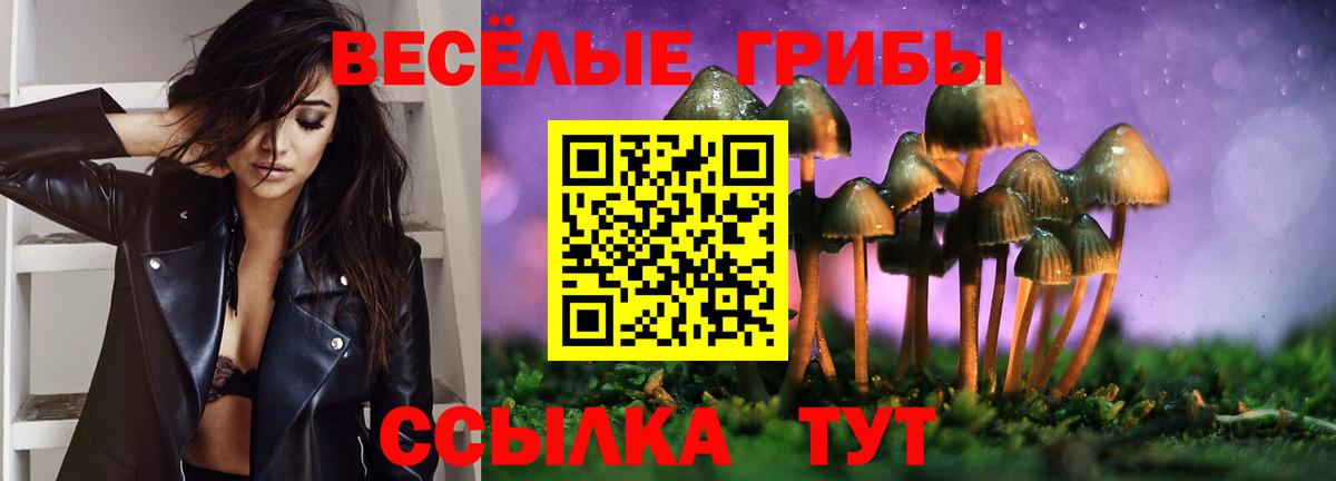 Галлюциногенные грибы прущие грибы  Вход с VPN  Галлюциногенные грибы Psilocybe  продажа наркотиков  Протвино 